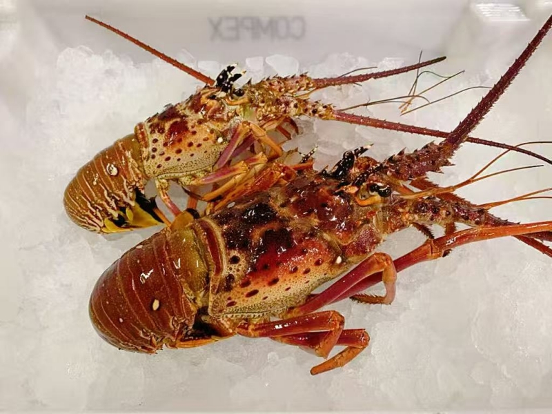 1_副本.jpg 1_副本.jpg