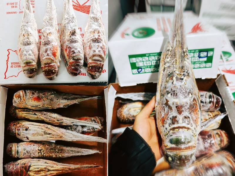 2_副本.jpg 2_副本.jpg